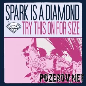 Spark Is A Diamond - Try This On For Size [2008]